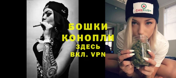 шишки Володарск